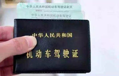 汽车相关证能考吗多少岁(汽车相关证能考吗？多少岁可以参加？