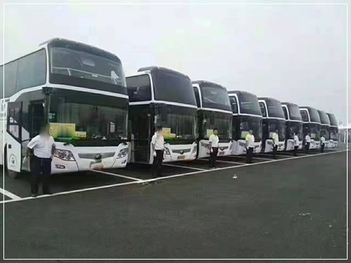 惠州到雷州汽车站多少钱(惠州到雷州汽车站的价格及旅行指南)