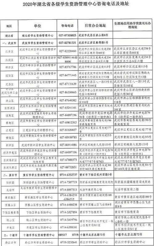 湖北汽车助贷系统多少钱(湖北汽车助贷系统价格解析)