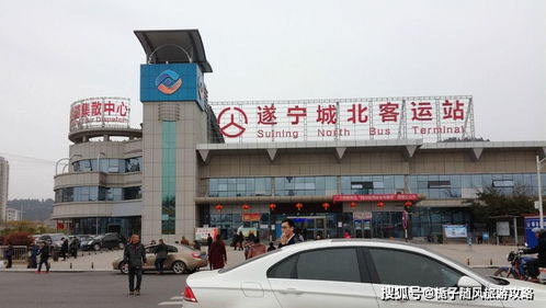 遂宁到蓬溪汽车站多少钱(遂宁到蓬溪汽车站的价格解析)