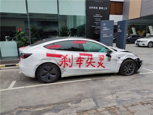 男子捡“车屁股”全网寻主 车主回应(男子捡到车屁股,全网寻主引发关注,车主回应背后的故事) 男子捡“车屁股”全网寻主 车主回应(男子捡到车屁股,全网寻主引发关注,车主回应背后的故事)