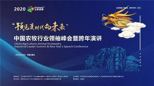 1335万人明天高考(明日决战,1335万高考生的时代挑战) 1335万人明天高考(明日决战,1335万高考生的时代挑战)