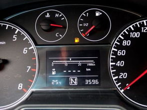 汽车跑百公里油费多少升(汽车跑百公里油费多少升，油耗因素与计算方法)