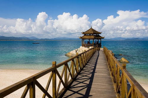 三亚至湛江汽车电话多少(三亚至湛江汽车电话查询与旅行指南)