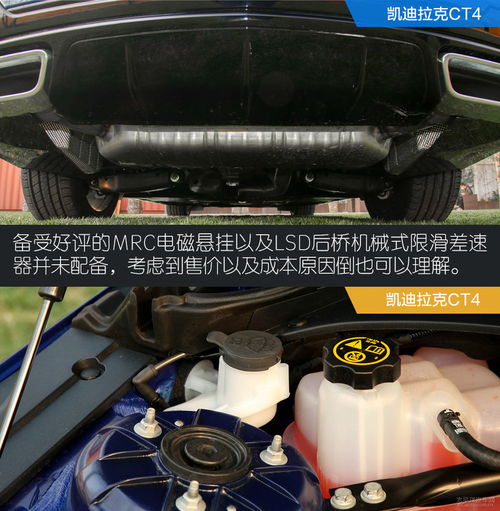 佛山汽车天线多少钱一台(佛山汽车天线价格解析，多少钱一台？