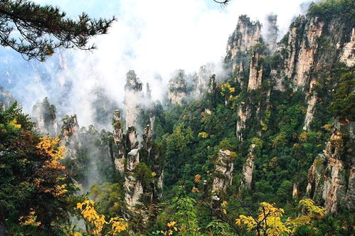 张家界到平江多少钱汽车(张家界到平江，汽车票价详解)