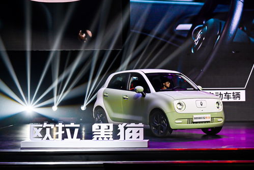 一辆汽车能装多少只猫咪(一辆汽车能装多少只猫咪，探索人与宠物的温馨故事)