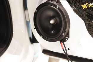 汽车加多少个低音炮(汽车音响升级，低音炮的数量与效果最大化)