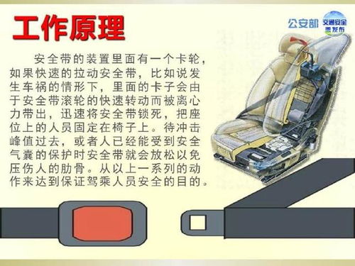 汽车一根安全带多少米(汽车安全带长度解析，一米安全带的守护)