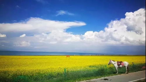 怎么拍天空照好看华为电脑(华为电脑下的天空摄影艺术,如何捕捉美丽的天空画面) 怎么拍天空照好看华为电脑(华为电脑下的天空摄影艺术,如何捕捉美丽的天空画面)