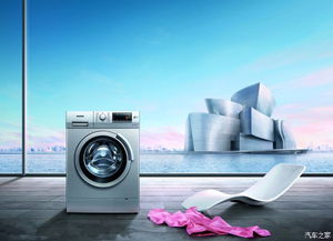 汽车清洗洗衣机要多少钱(汽车清洗洗衣机要多少钱，全面解析清洗成本与选择)
