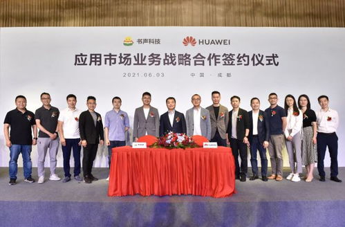 华为视频流入电脑怎么办(华为视频流入电脑怎么办，应对策略与解决方案)