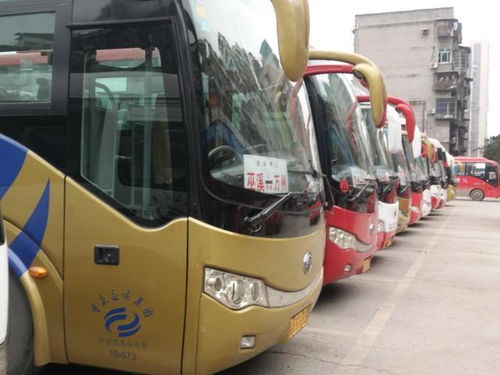 龙南到上犹汽车票价多少(龙南至上犹汽车票价详解) 龙南到上犹汽车票价多少(龙南至上犹汽车票价详解)