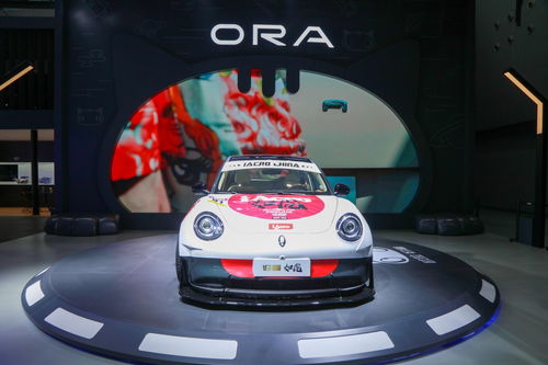 汽车装个小飞猪多少钱(汽车装个小飞猪需要多少钱？