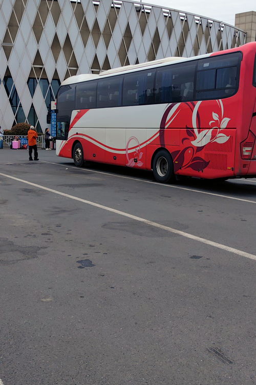 安阳至台洲汽车票价多少(安阳至台洲汽车票价详解) 安阳至台洲汽车票价多少(安阳至台洲汽车票价详解)