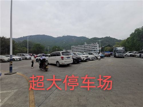 蓬安汽车站到深圳多少钱(蓬安汽车站到深圳的交通费用详解) 蓬安汽车站到深圳多少钱(蓬安汽车站到深圳的交通费用详解)