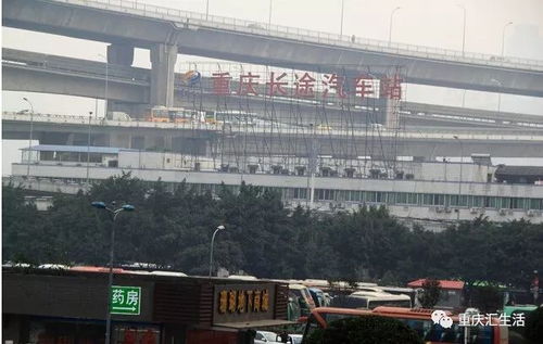 河东汽车站电话多少号(河东汽车站电话查询—出行前的必备功课)