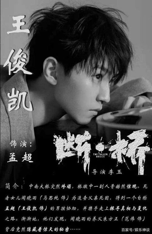 王俊凯 通告费还是要给我(王俊凯与通告费背后的故事，辛勤付出应得回报)