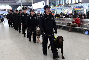 已护考10年的女警今年为女儿护考(女警的坚守，十年护考路，今年为女儿护航)