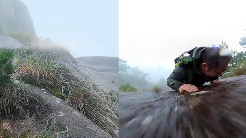 退休教授雨夜爬山失足坠崖遇难(雨夜悲歌，退休教授爬山失足坠崖遇难)
