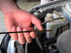 汽车能查机油尺吗多少钱(汽车机油尺检查，必要性、操作方法与价格考量)