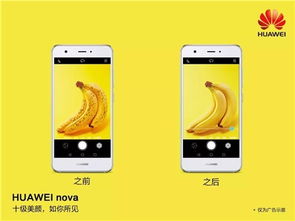 华为nova手机怎么连接电脑(华为nova手机与电脑的连接方法详解) 华为nova手机怎么连接电脑(华为nova手机与电脑的连接方法详解)