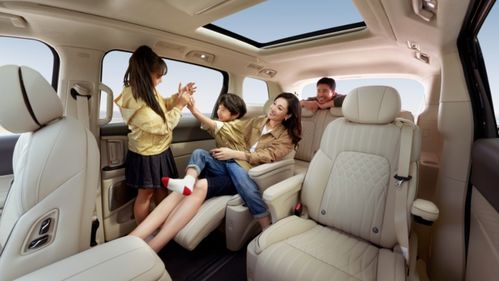 澄海汽车座椅烘干多少钱(澄海汽车座椅烘干价格解析)