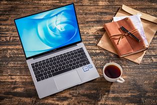 华为9内存怎么装电脑版(华为MateBook 9内存扩展与电脑版应用安装指南)