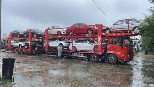 海南小汽车运输多少钱(海南小汽车运输费用详解)