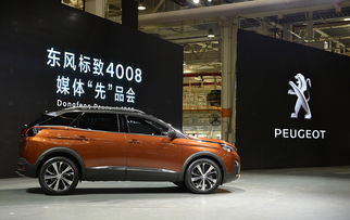 成都到会东汽车多少钱(成都到会东汽车票价详解)