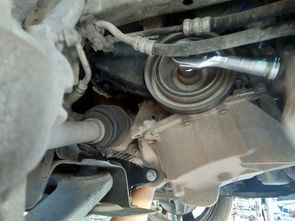 汽车油泵换一个多少钱(汽车油泵更换费用解析)