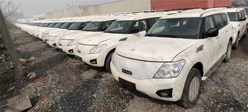 吉林汽车格栅多少钱一个(吉林汽车格栅价格解析)