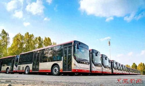 唐山到淄博汽车票多少钱(唐山到淄博汽车票价详解，一路的风景与费用)