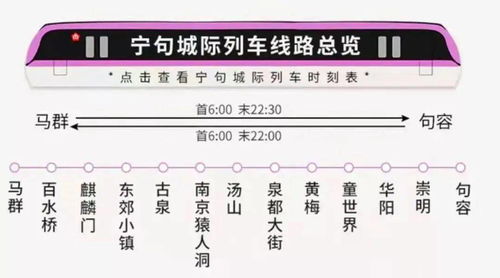 鄱阳到徐州汽车票多少钱(鄱阳至徐州汽车票价详解)