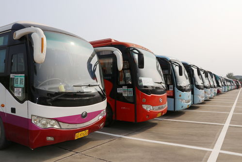 应城中心汽车站电话多少(应城中心汽车站电话及出行指南)