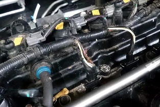 汽车线束需要换吗多少钱(汽车线束更换需求与费用解析)