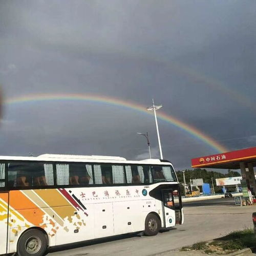 九江到常德汽车电话多少(九江至常德长途汽车服务热线电话详解)