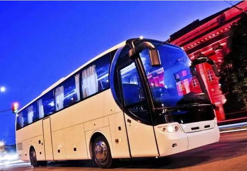 海阳到义乌多少钱汽车票(海阳到义乌汽车票价详解) 海阳到义乌多少钱汽车票(海阳到义乌汽车票价详解)