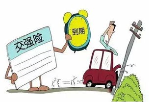 汽车保险需要买多少年的(汽车保险需要购买多少年，权衡与选择)