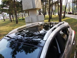 汽车上沾了水泥要多少钱(汽车上沾了水泥的处理费用分析)