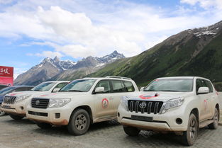 玉溪汽车出租多少钱一年(玉溪汽车出租费用详解,一年需要多少钱? 玉溪汽车出租多少钱一年(玉溪汽车出租费用详解,一年需要多少钱?