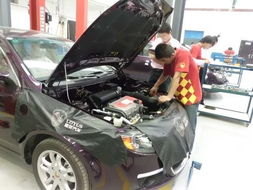 修理店汽车台阶板多少钱(汽车修理店中的台阶板更换费用解析)