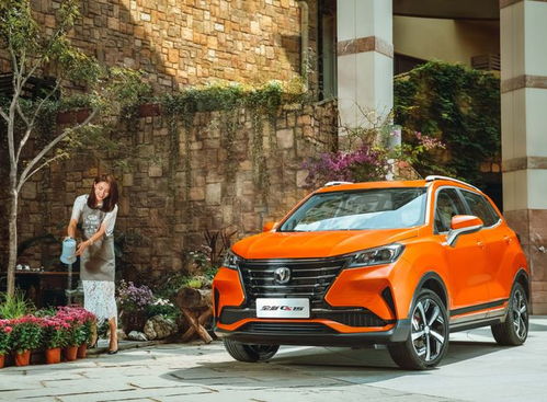 缤智自动挡汽车价格多少(缤智自动挡汽车价格解析)