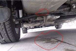 汽车排气管危险吗多少钱(汽车排气管的危险性及更换费用分析) 汽车排气管危险吗多少钱(汽车排气管的危险性及更换费用分析)