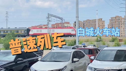 白城汽车站有多少人坐(白城汽车站的人流量探究)