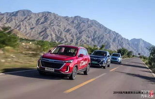 汽车变色挑战多少钱一个(汽车变色挑战，成本与效益的权衡)