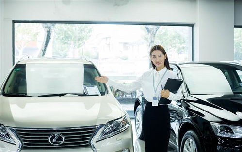 汽车碰了两个坑多少钱(汽车遭遇坑洞,修复费用知多少) 汽车碰了两个坑多少钱(汽车遭遇坑洞,修复费用知多少)