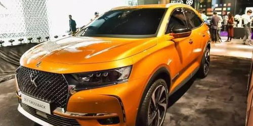 ds黑色汽车多少钱一台(DS黑色汽车的价格解析)