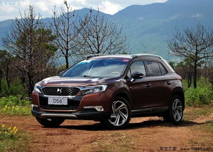 ds黑色汽车多少钱一台(DS黑色汽车的价格解析)