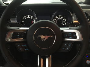 汽车内门板换色多少钱(汽车内门板换色费用详解，价格因素与成本分析)